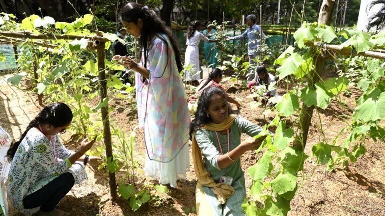 A.P. universities undertake novel initiative to introduce students to natural farming